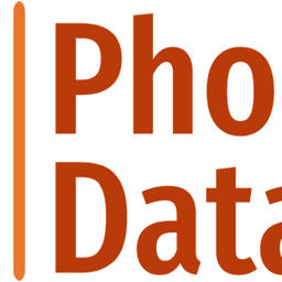Phoenix Dataworks Logo
